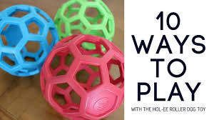10 uses for the hol ee roller dog toy