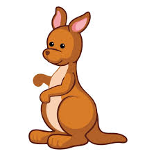 kangaroo cartoon vector art icons and