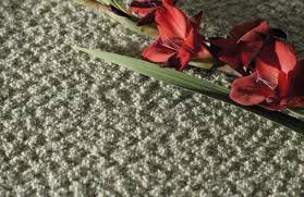 news adam carpets colour