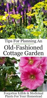 how to design a cottage garden