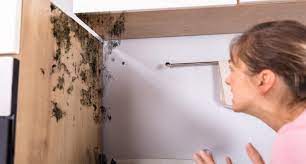 How To Get Rid Of Damp Smell