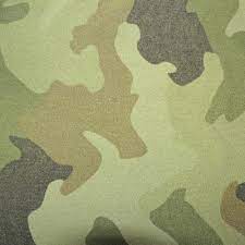 Paint Camouflage On A Wall Camo Rooms