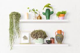 Plant Wall Shelf Indoor Home Decor