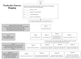 Testicular Cancer Staging