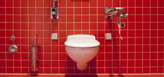 Toilet was originally a french loanword (first attested in 1540) that referred to the toilette (little ^ the french eau de toilette (toilet water) is sometimes used as a sophisticated synonym for. Toilette Verstopft Diese Hausmittel Losen Das Problem Utopia De