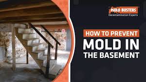 how to prevent mold in the basement