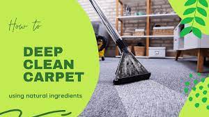 best diy way to deep clean carpet at