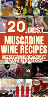 20 fun and easy muscadine wine recipes