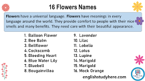 16 flowers names in english english
