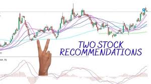 2 best stocks to for long term in