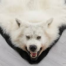 arctic wolf skin rug ep4159060a