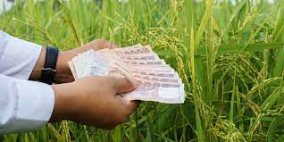 เงินประกันรายได้เกษตรกร จ่ายส่วนต่าง ประกันราคาข้าว งวดที่ 3 - ACCESSTRADE  TH