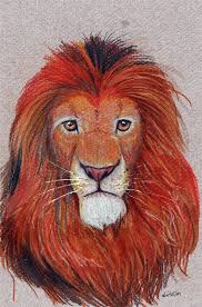 colored pencil lion weasyl