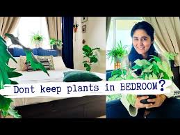 don t keep indoor plants in bedroom