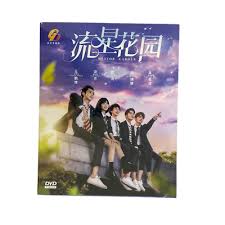 dvd chinese drama meteor garden 流星花