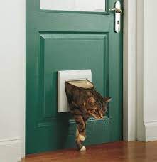 Cat Flap Fitters Witney Installation
