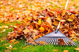 10 Fall Clean Up Tips