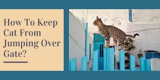 how to keep cat from jumping over gate