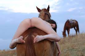 Horse riding porn ❤️ Best adult photos at hentainudes.com