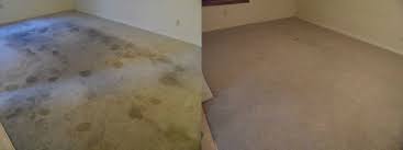 water damage restoration maximum carpets