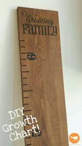 Diy Growth Chart This Little Goose