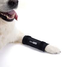 ortocanis carpal brace for dogs