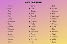 650 cool dog names to inspire your