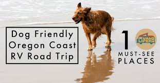 dog friendly oregon coast rv road trip