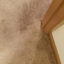 millers carpet care 32 photos 42