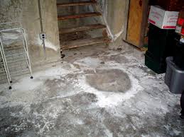 Rotting Basement Floors Basement