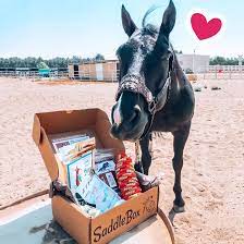 the gift box for horse equestrians