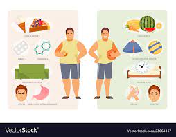healthy lifestyle royalty free vector image