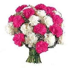 Download the perfect flower love pictures. Lovely Flowers Thillai Nagar Stage Decorators In Trichy Justdial