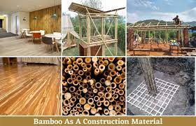 bamboo as a building material why it s