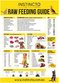 Raw Feeding Guide Magnet