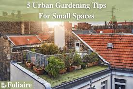 5 urban gardening tips for small es