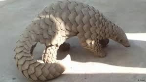Its scales are actually made up of keratin, which accounts for about 20 percent of its weight. Singapore Makes Record Breaking Ivory Bust Seizes Pangolin Scales News Dw 23 07 2019
