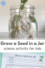 Grow A Seed In A Jar Science Activity