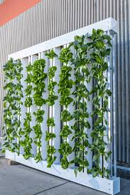 Zipgrow Farm Wall Ultimate