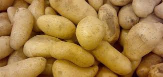 How can you tell if a potato has solanine?