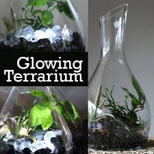 How To Make A Glowing Terrarium