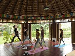 the 12 best yoga retreats in thailand