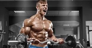 5 exercises for increasing bicep m