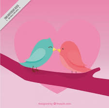cute background of birds kissing for