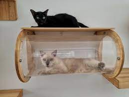 13 Diy Cat Shelves Plans You Can Make