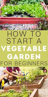 When you start to harvest your organic garden, you'll feel a sense of accomplishment and pride that makes all your effort worthwhile. How To Start Vegetable Gardening 9 Steps For Beginners Modern Day Self Reliance Small Vegetable Gardens Vegetable Garden For Beginners Vegetable Garden Tips