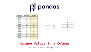 unique values in a column