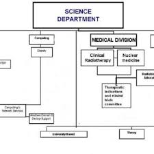 Organizational Chart Of Medical Department 8 Download