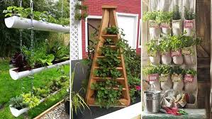 Small Vegetable Garden Ideas Happy