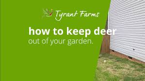 Keep Deer Out Of Your Garden Or Yard